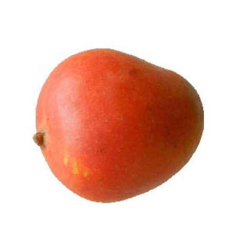 R2E2 Mangoes, Large - Organic