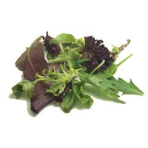 Coolibah Mesclun (Salad) Mix, Loose Bulk Box - Organic