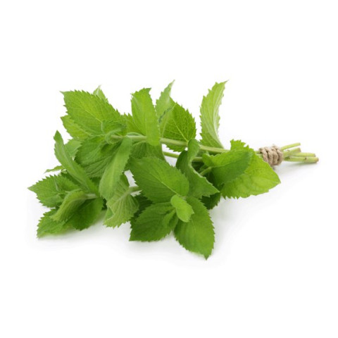 Mint - Clearance - Organic