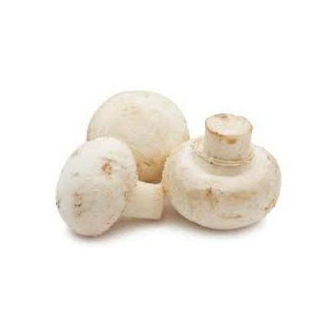 Cups Mushrooms - Organic