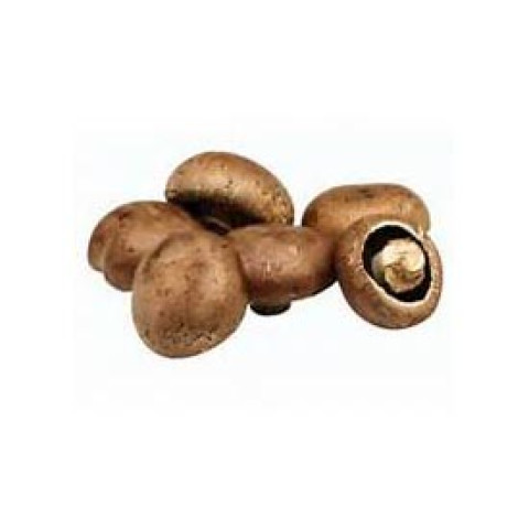 Swiss Brown Flats Mushrooms - Organic