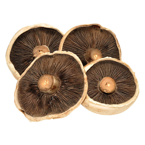 Swiss Brown Flats Mushrooms