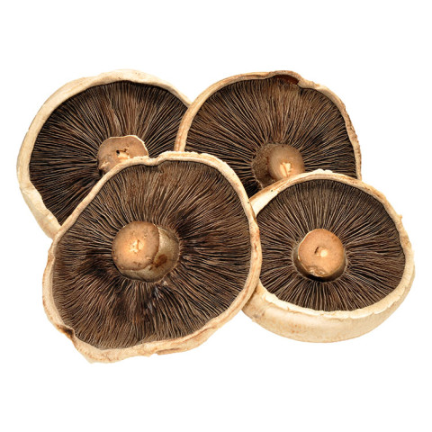 Swiss Brown Flats Mushrooms - Organic