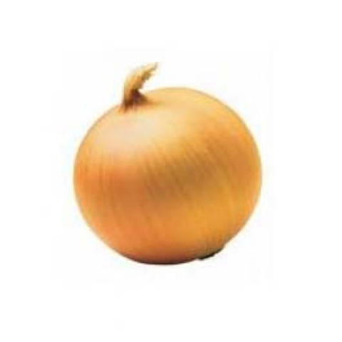 Brown Onions Bulk Box - Organic