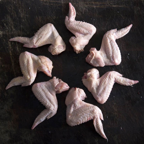 Feather and Bone Organic Chicken Wings (Fresh)