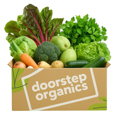 Organic Large Vegie Box