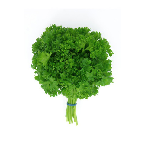 Curly Parsley 3 for 2! - Organic