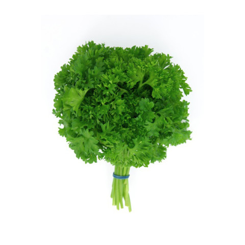 Curly Parsley - Organic