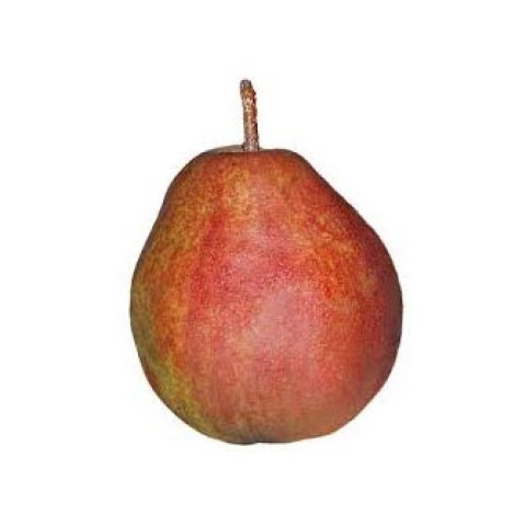 Red Anjou Pears - Organic