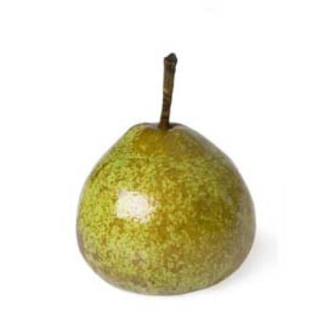 Winter Cole Pears - Organic