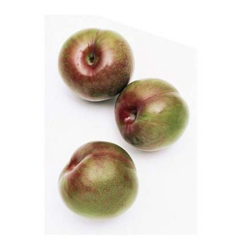 Blood Plums Whole Kg - Organic
