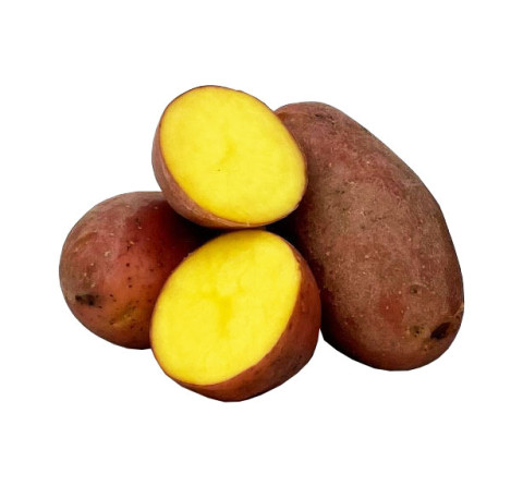 Prince of Orange Potatoes - Organic