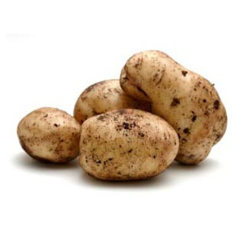 Sebago Potatoes Bulk Box - Organic