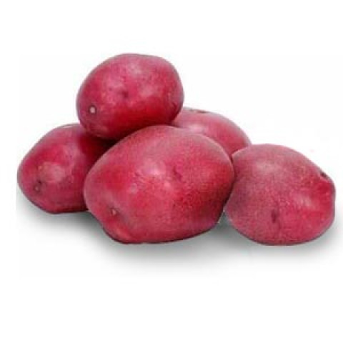 Pontiac Potatoes - Organic