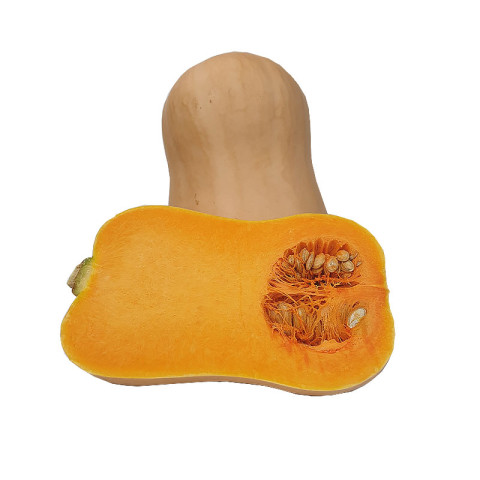 Butternut Pumpkin Piece