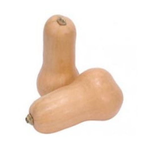 Butternut Pumpkin Whole - Organic