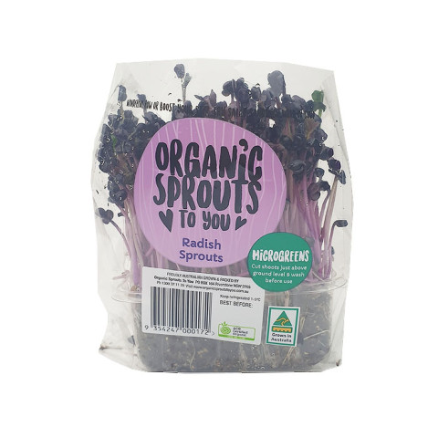 Radish Sprouts live - Clearance - Organic