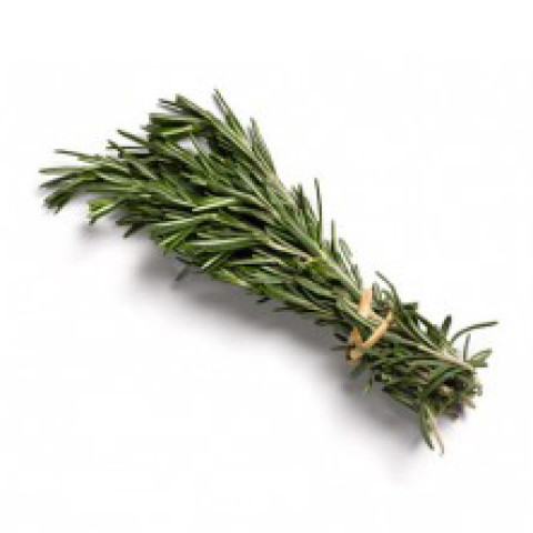 Rosemary - Organic