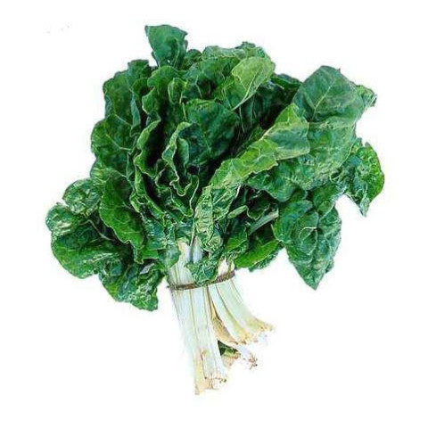 Silverbeet - Organic