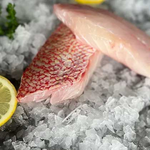 Moofish Snapper Fillet