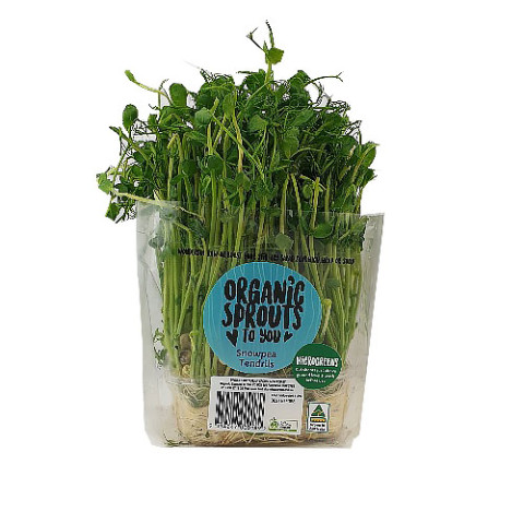 Snow Pea Sprouts Live - Organic