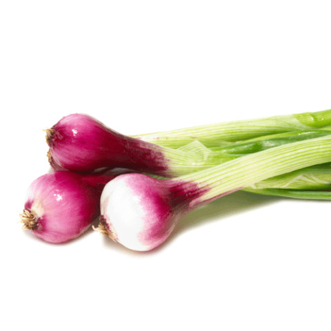 Spanish Spring Onions - Organic