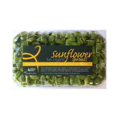 Sunflower Sprouts Live - Organic