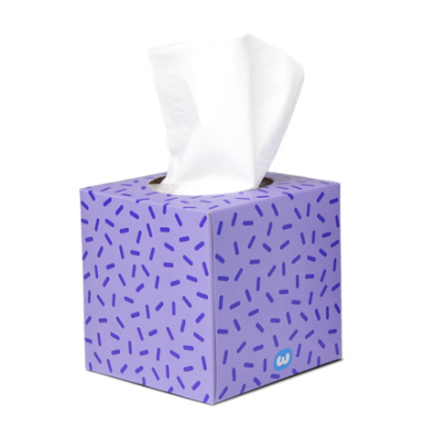 Who Gives A Crap Tissues Bamboo