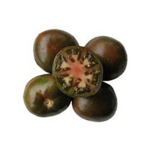 Black Russian Tomatoes - Organic