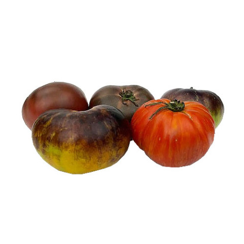 Melody Tomatoes - Organic