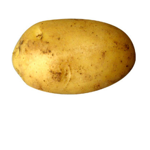 Nicola Potatoes Washed - Organic 2kg Value Buy