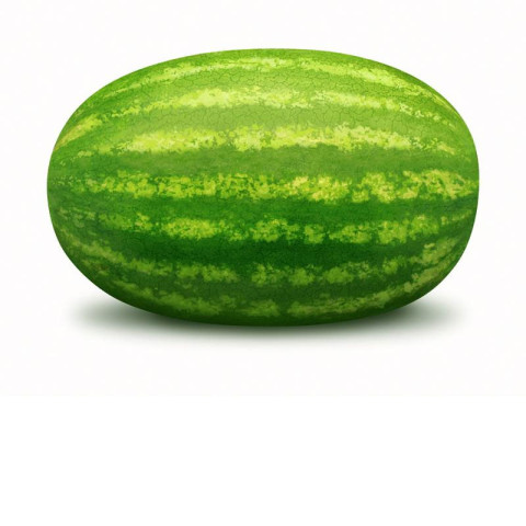 Torpedo Watermelon Half - Organic