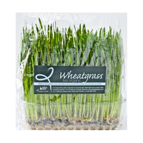 Wheatgrass Live x 10 - Organic