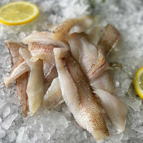 Moofish Whiting Fillets