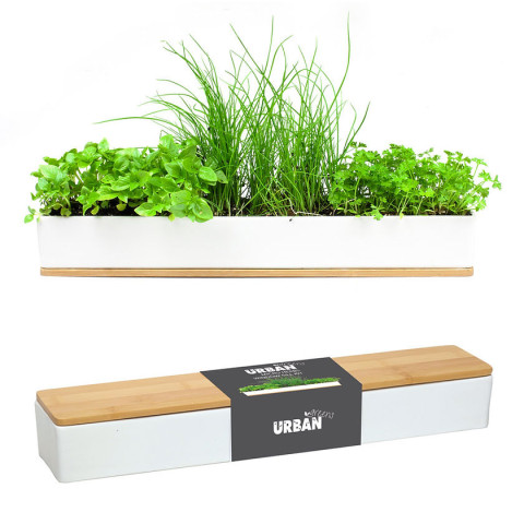 Urban Greens Windowsill Grow Kit - Microherbs<br>