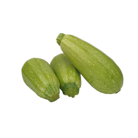 Lebanese Zucchini - Organic