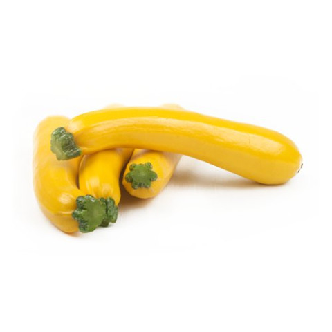 Yellow Zucchini - Organic