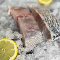 Moofish Barramundi Fillets