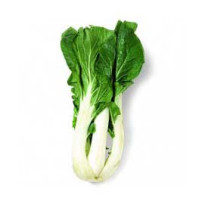 Bok Choy (White Stem) - Organic