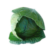 Green Cabbage Whole - Organic