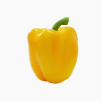 Yellow Capsicum - Organic