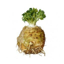 Celeriac - Organic