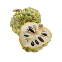 Pink Mammoth Custard Apples - Organic