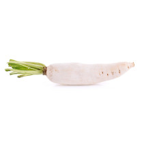 Single Daikon Radish - Organic