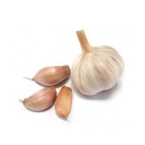 Russian Garlic Whole Kg - Organic