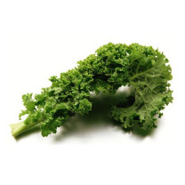 Green (Scottish) Kale - 3 for 2 - Organic