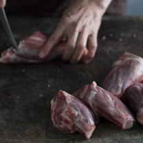 Feather and Bone Lamb Shanks (Fresh)