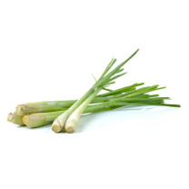 Lemongrass - Organic