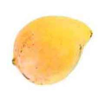 Kensington Pride Mangoes Large - Organic