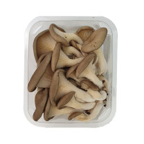 Oyster Mushrooms - Organic